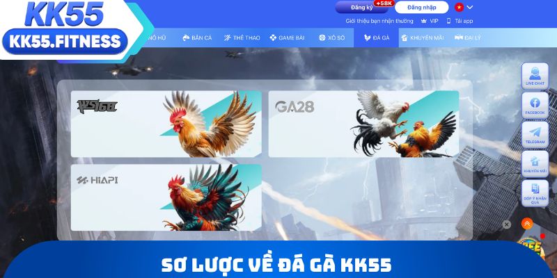 Sơ lược về đá gà KK55